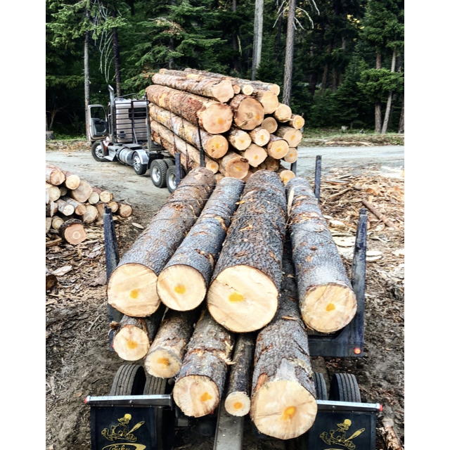 Kitsap Firewood Source 3