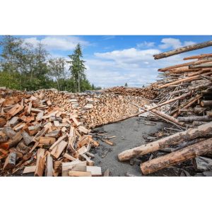 Kitsap Firewood Yard 2