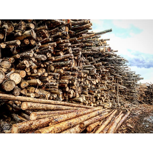 Kitsap Firewood Yard 3