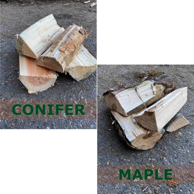 Conifer + Maple firewood
